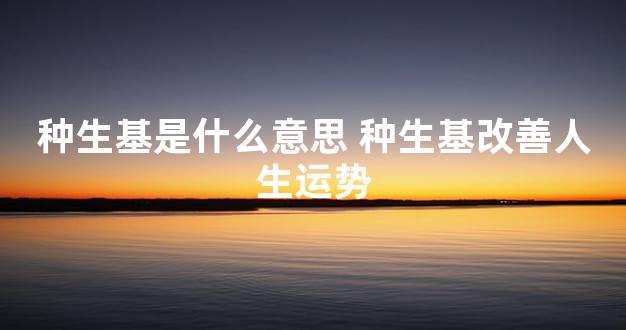 种生基是什么意思 种生基改善人生运势
